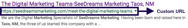 Custom & Unique URL Example for What is SEO and How It Works Article SeeDreams Marketing Taos, NM