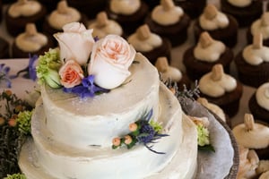 Wedding Cake Shot from Depavloff Wedding August 2018 SeeDreams Marketing Taos, NM